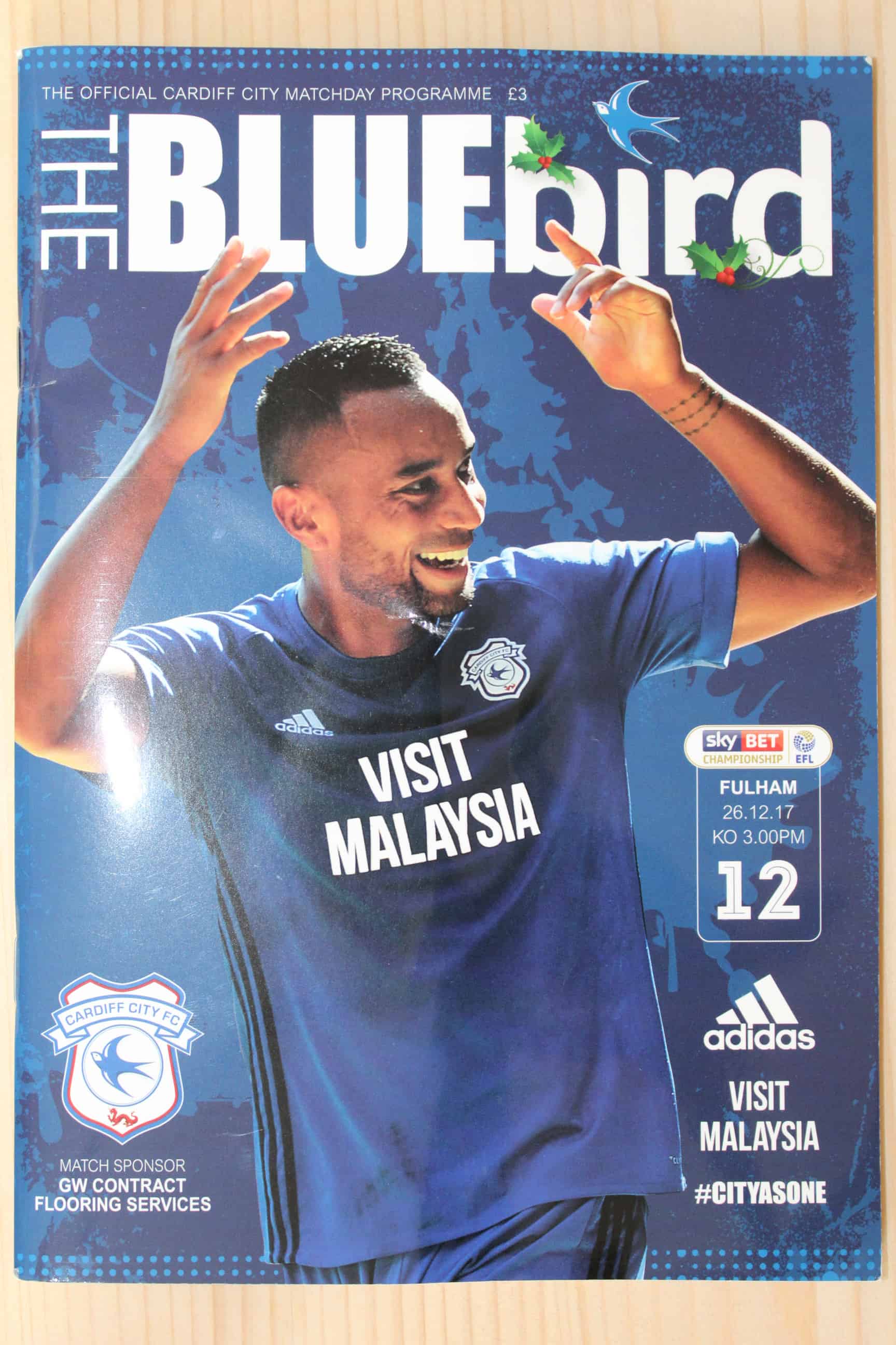 Cardiff City FC v Fulham FC